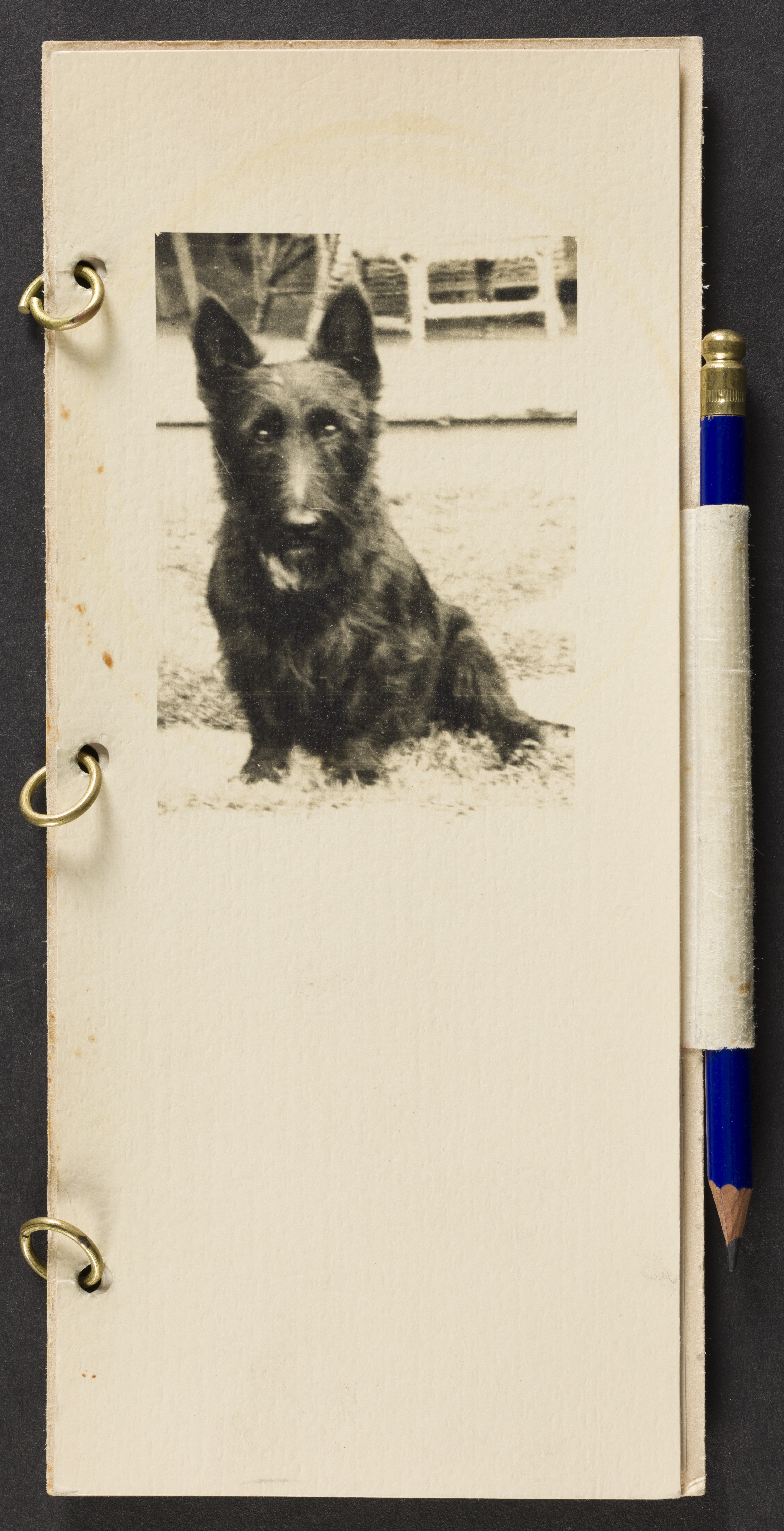 Bridge scorecard holder with Scottish Terrier dog