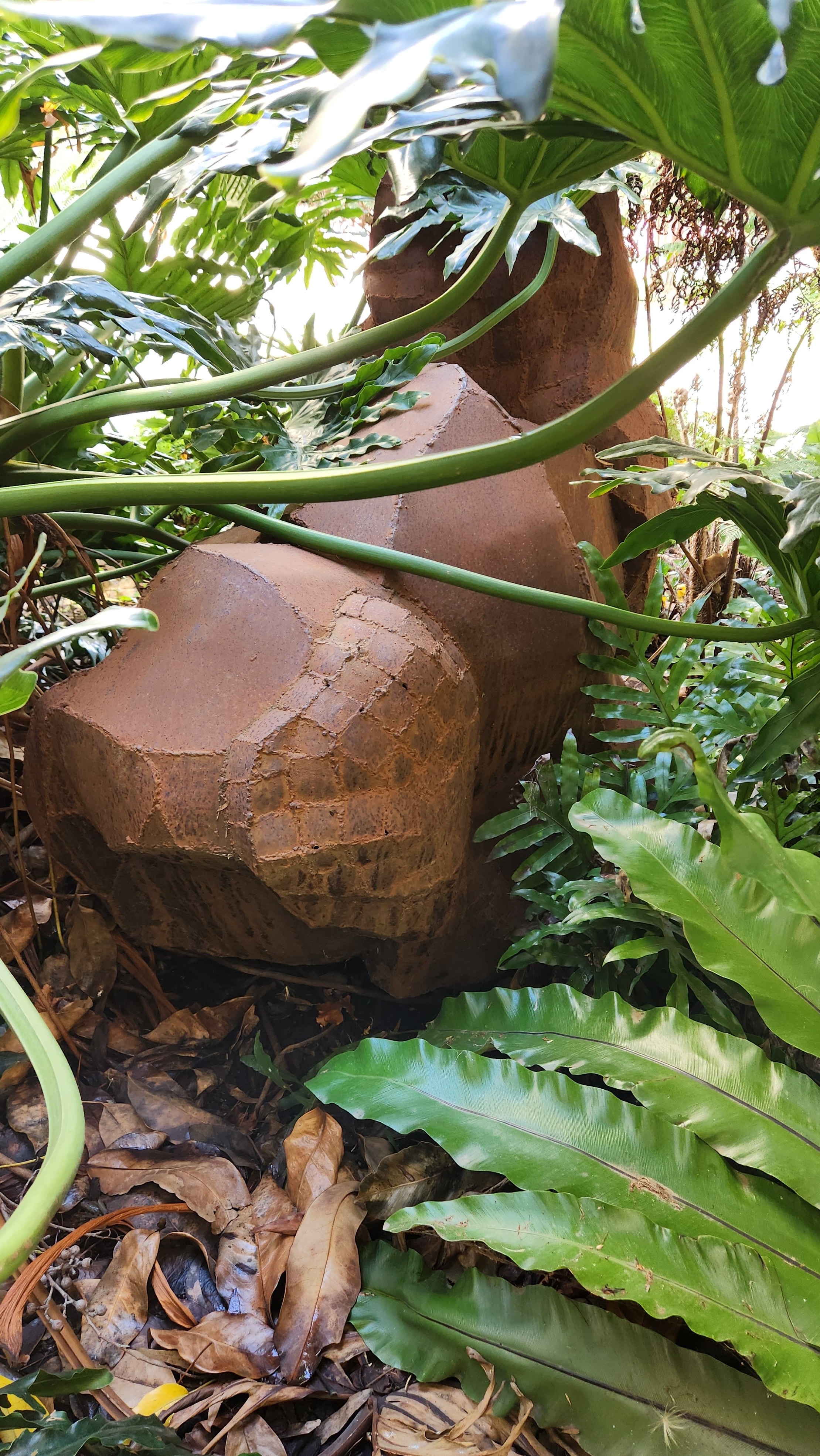 Sculpture, fern garden, back