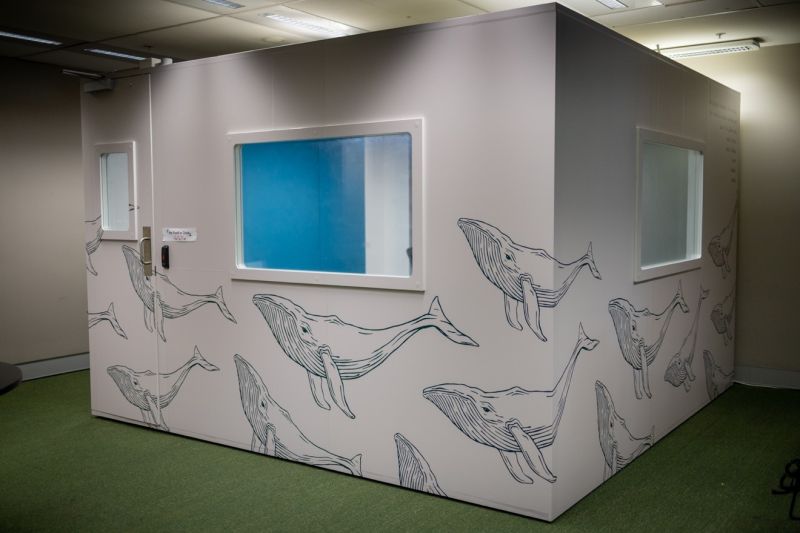 Sound Recording booth with whale decoration