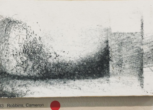 Cameron Robbins, 'electrical storm with rain' made with rotary chaos drawing instrument and summer rain..PNG