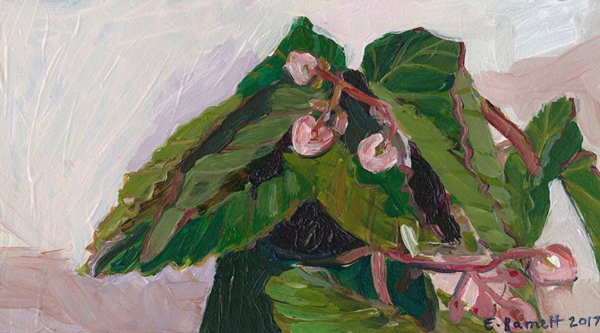 Elizabeth Barnett, Begonia, acrylic on board, 9 x 5.PNG