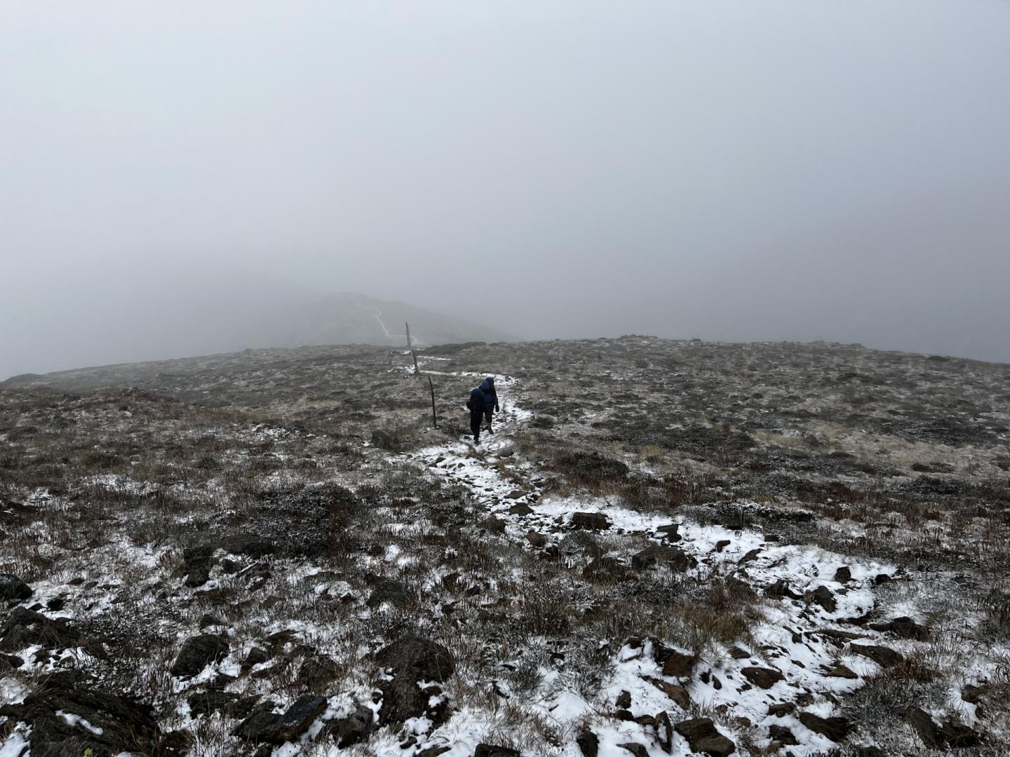 Bogong in May_MUMC Black and white photograph of a snowy hilltop with lone hiker battling wind