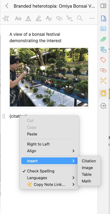 screenshot of right click in notes pane and select insert - citation
