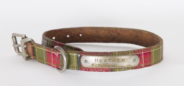 Leather dog collar with tartan pattern and metal name plate