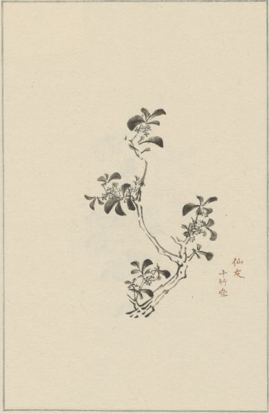 中国古美術・蘭竹之情三尺画芯・董卿印款・水墨画・純手描き・鑑賞用・宣紙・带水印 三尺斗方手绘水墨画真迹宣纸写意荷花花鸟画国画装饰挂画-Taobao-Tmall