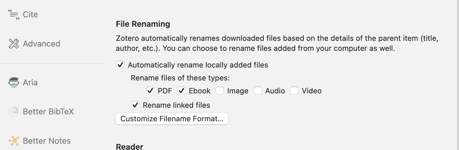 screenshot sowing the file renaming options