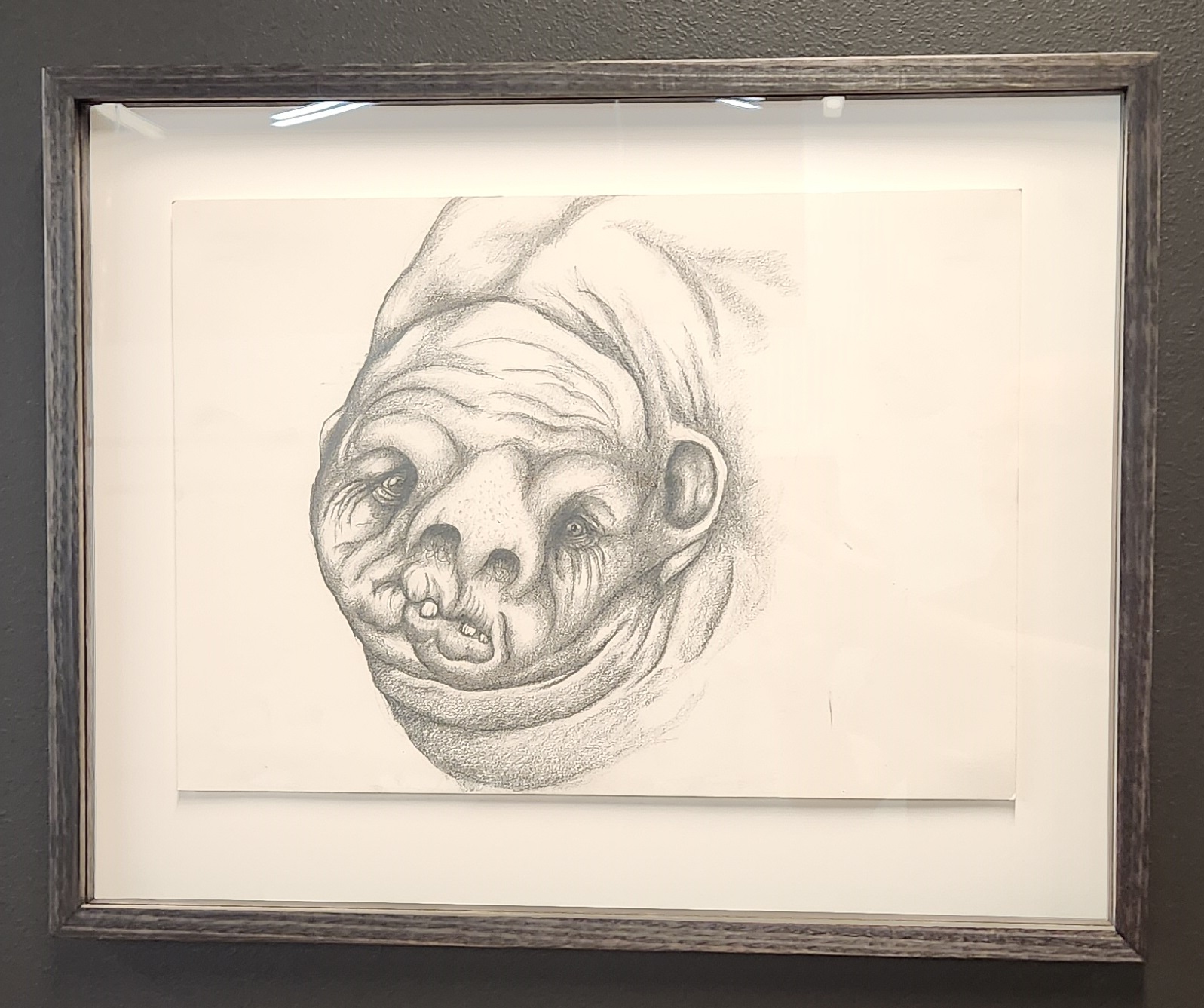 Patrician Piccinini-Chimera