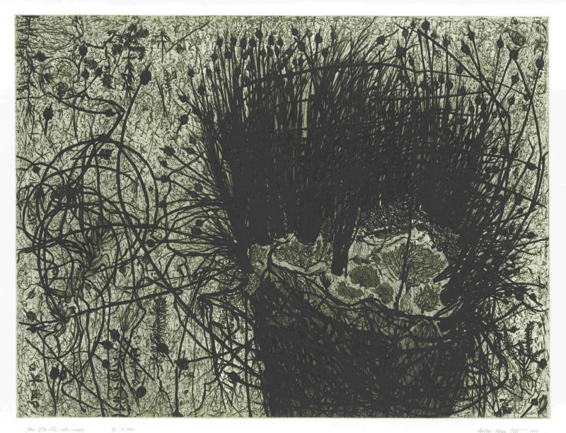 Black print depicting coastal flora in scratchy detail.