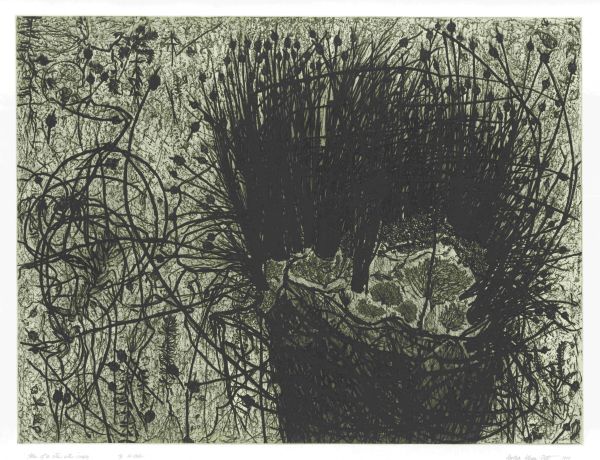 Black print depicting coastal flora in scratchy detail.