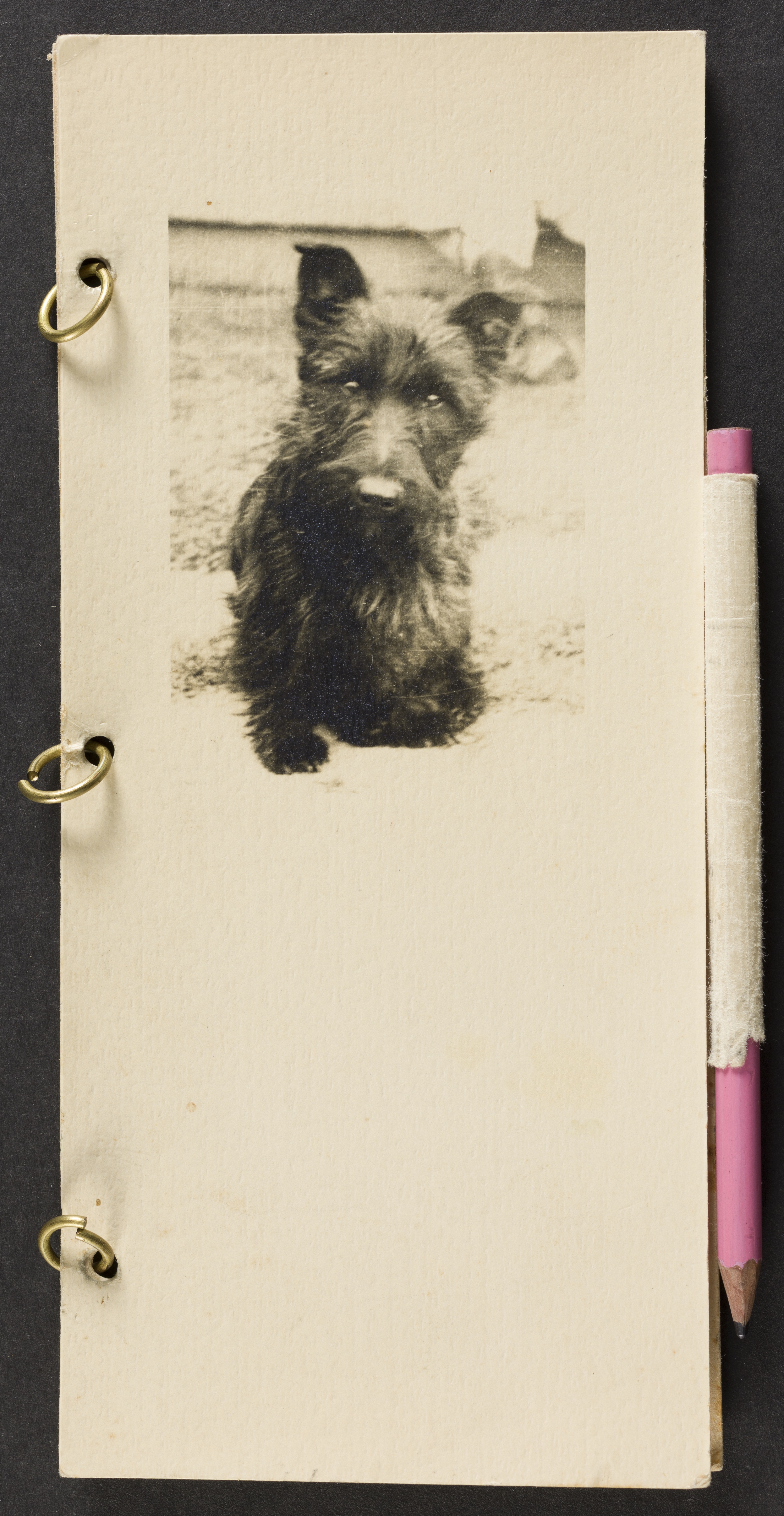 Card with Scottish Terrirr dog printed and 3 metal rings on spine and pencil holder holding pink pencil on right side