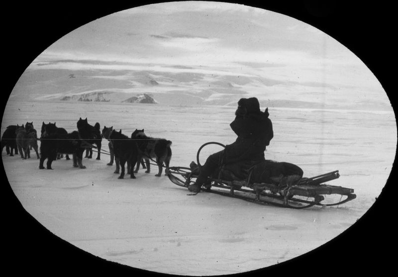 1980.0030.00426  Sledge and dog team, c.1911-1913, Raymond Priestley Lantern Slides Collection (Department of Geology, University of Melbourne)