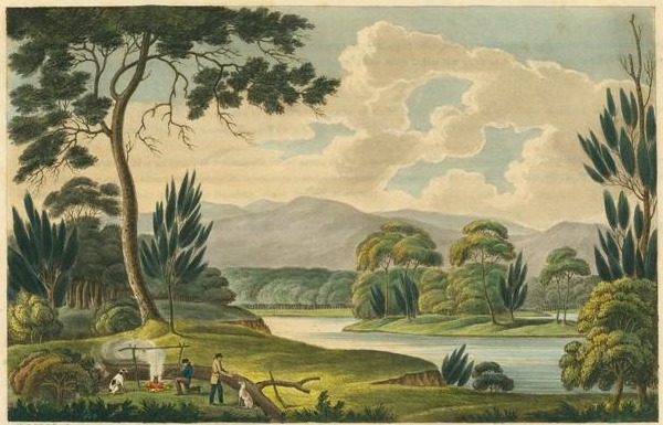 Landscape scene with early settlers, at riverfront with gum trees.