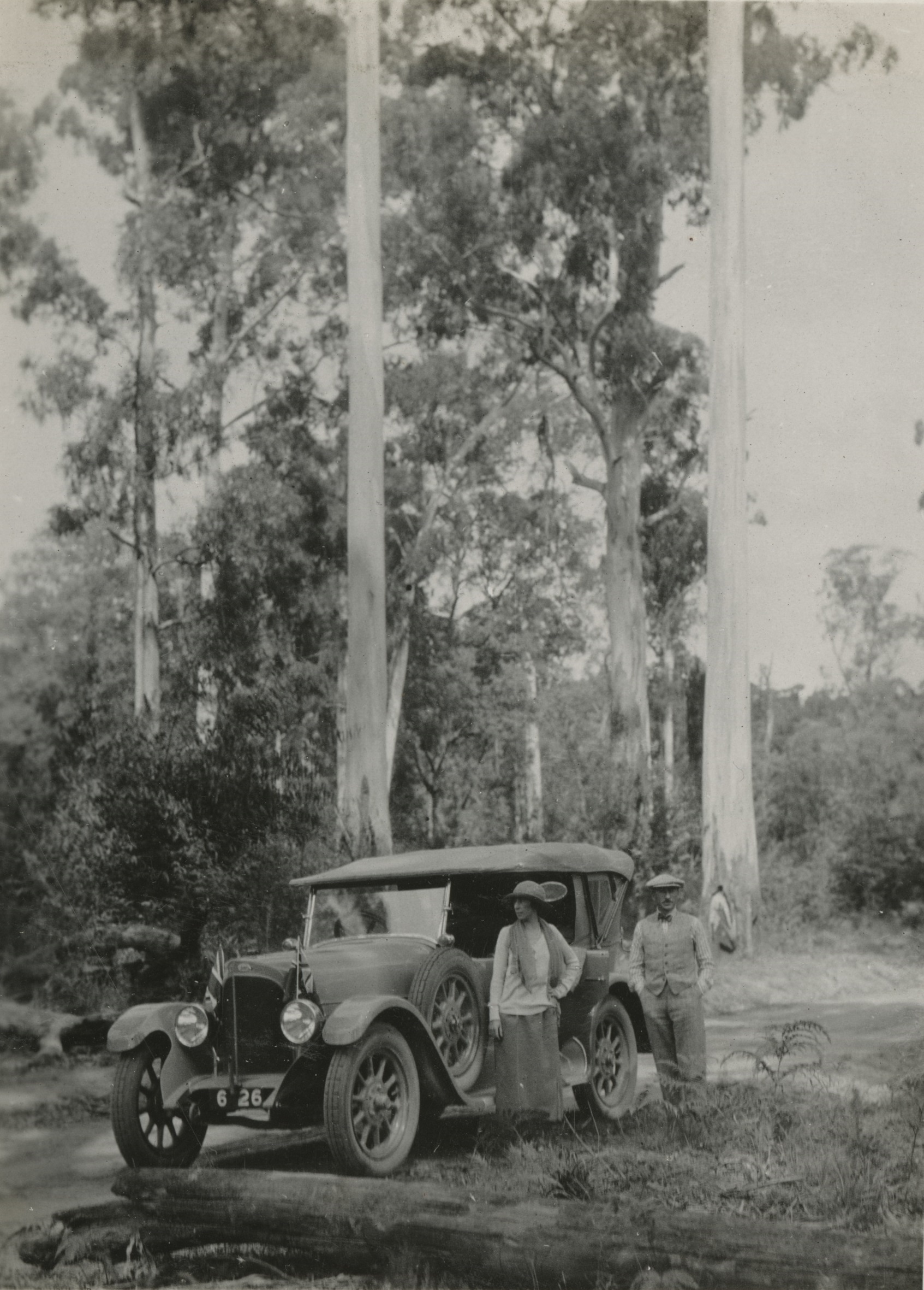 Car parked in Australian bush surrounded by tall standing trees and fallen trees, man and woman standing in front of car