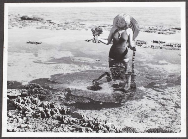 “Coral Pool, Heron Island, Great Barrier Reef, QLD”, 1947, Commercial Travellers’ Association Administrative Records and Publications, 1979.0162.02560. 