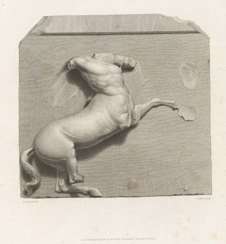 (Metope from the Parthenon) [1]
