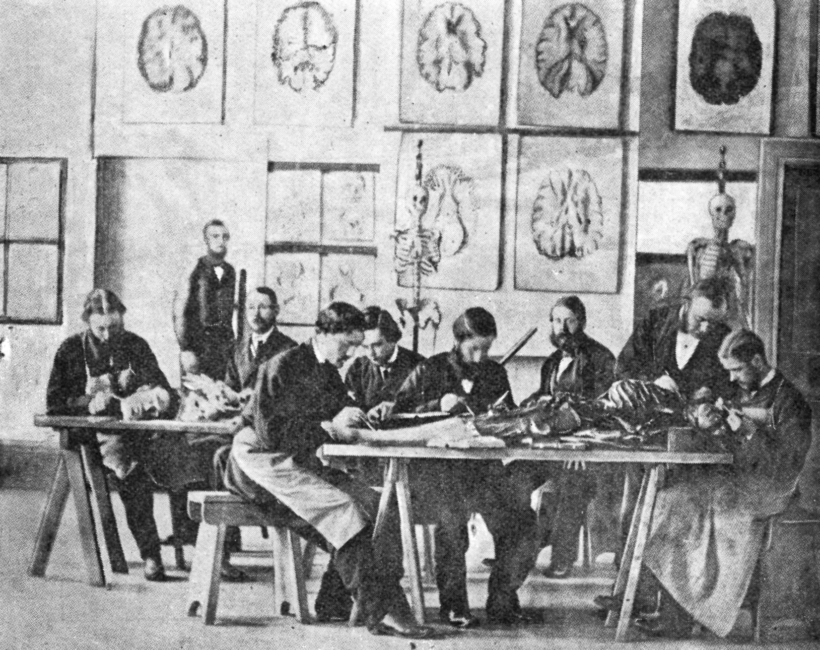 An early dissecting class, Prof Halford is second from right